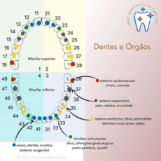 Dentes e órgãos