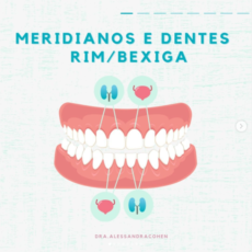 Meridianos e Dentes – Rim / Bexiga