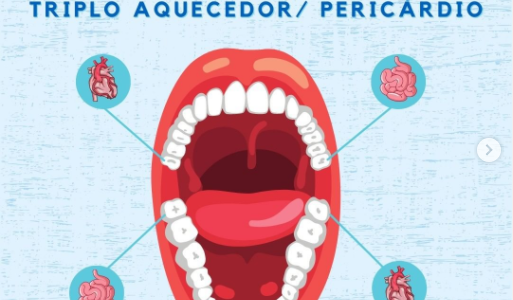 Meridianos e dentes – Coração / Intestino delgado e triplo aquecedor / Pericárdio