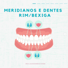 Meridianos e Dentes – Rim / Bexiga